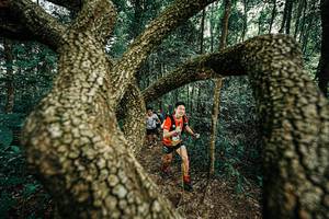 BIB: 
                            <button type="button" onclick="openModal(25393117)" class="btn btn-primary btn-sm float-right btn-popup" data-toggle="modal" data-target=".modal-high-quality">
                        <i class="fas fa-shopping-cart"></i> Add to Cart
                    </button>
                                            <button type="button" onclick="isThisMe(25393117, true)" class="btn btn-success btn-sm float-right btn-popup btn-isme hidden" data-toggle="tooltip" data-placement="bottom" title="นี่คือรูปของคุณใช่ไหม คลิกที่นี่เพื่อเอาเข้าอัลบั้ม">
                        <i class="fas fa-plus"></i> Add to album
                    </button>
                    <button type="button" onclick="isThisMe(25393117, false)" class="btn btn-warning btn-sm float-right btn-popup btn-isnotme hidden">
                        <i class="fas fa-ban"></i> Remove from album
                    </button>